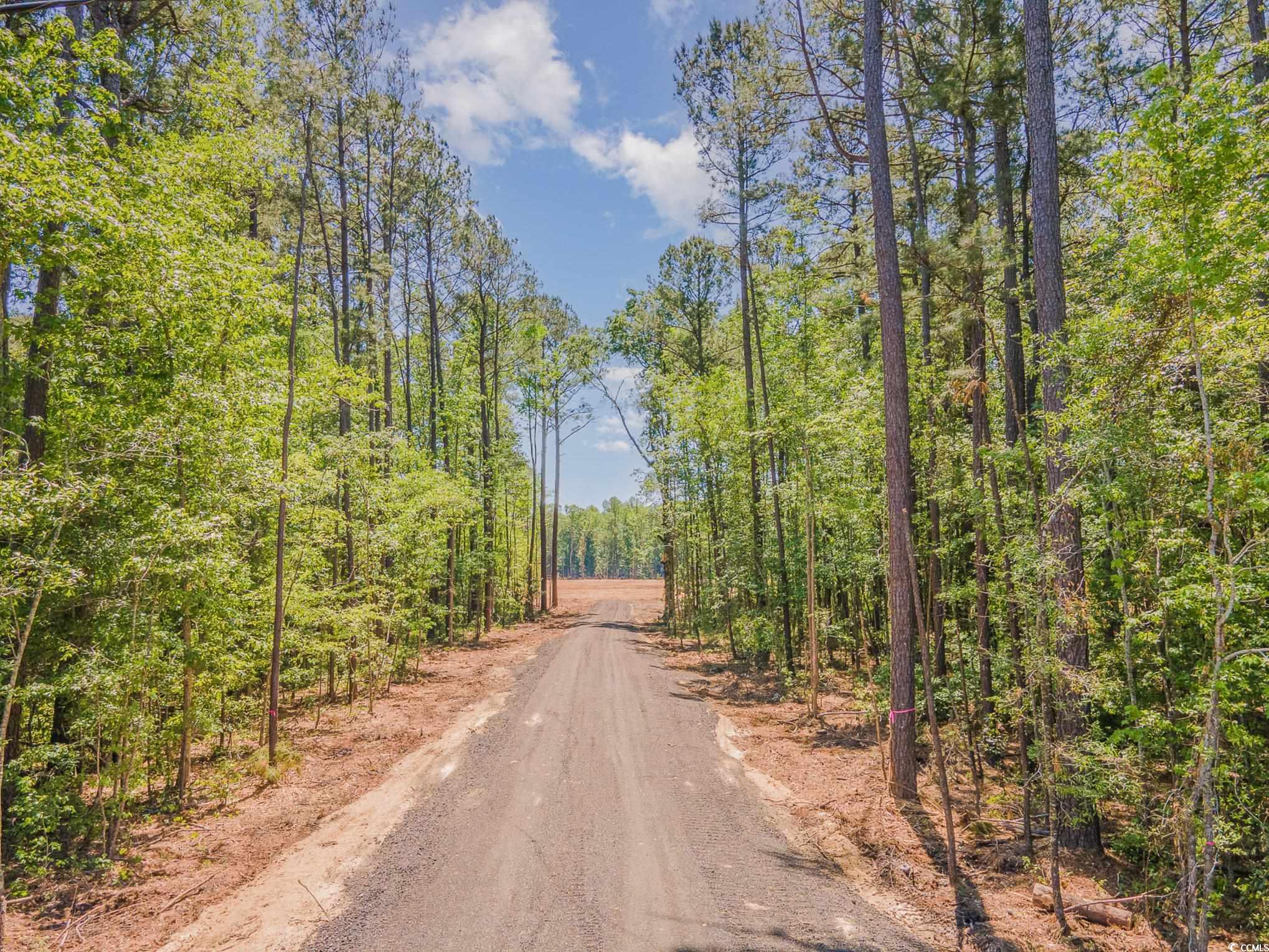 Lot #4 Old Tram Road Conway, SC 29527 - Photo 4 of 8 Gallery Image 4