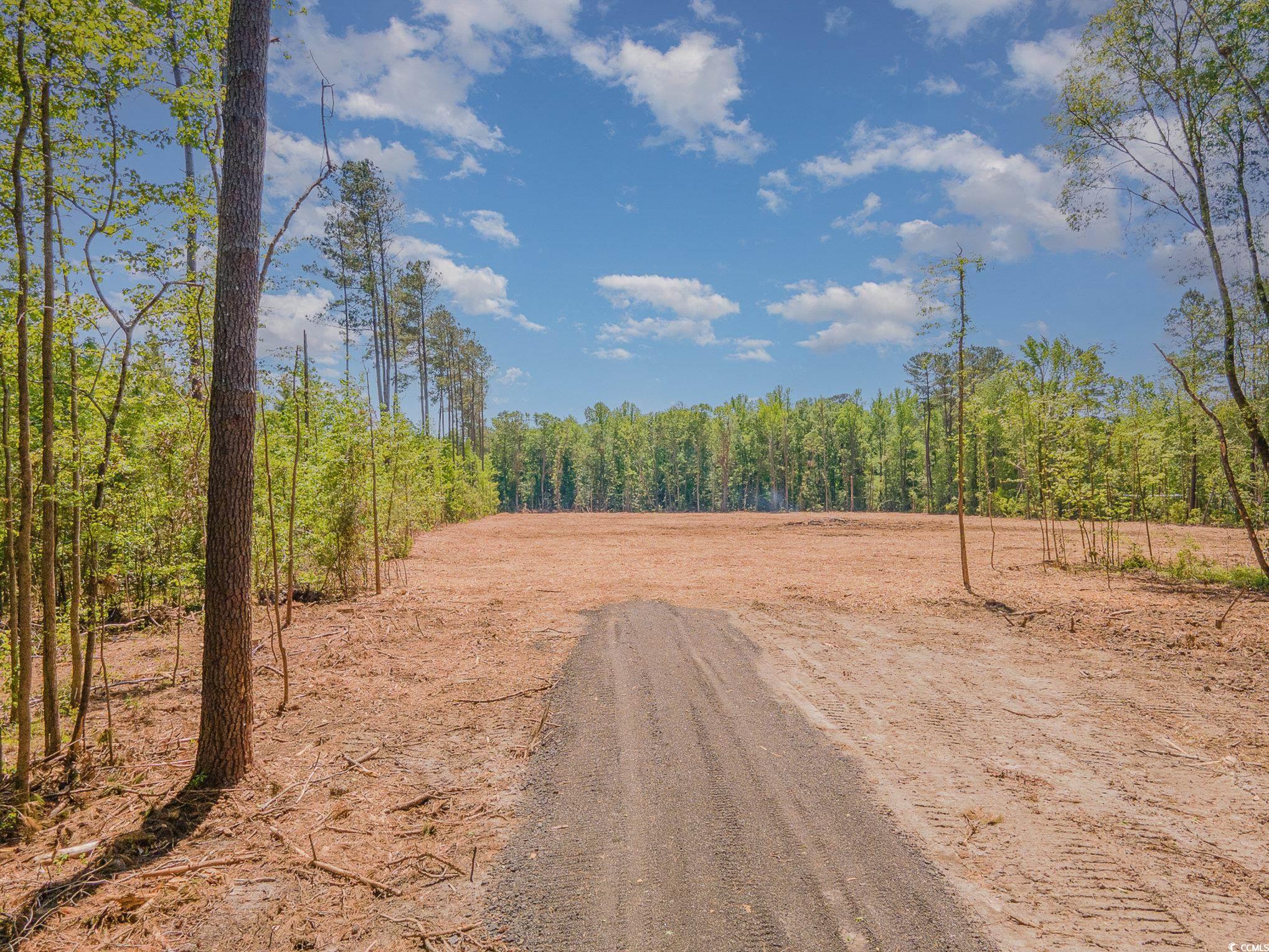 Lot #4 Old Tram Road Conway, SC 29527 - Photo 5 of 8 Gallery Image 5