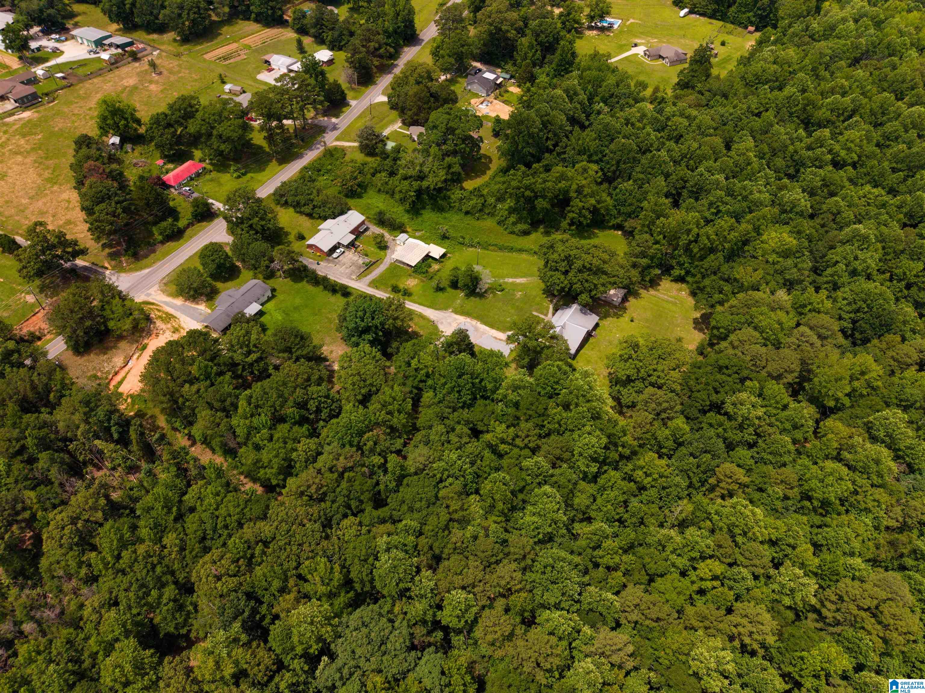 240 Vance Road West Blocton, AL 35184 - Photo 50 of 51