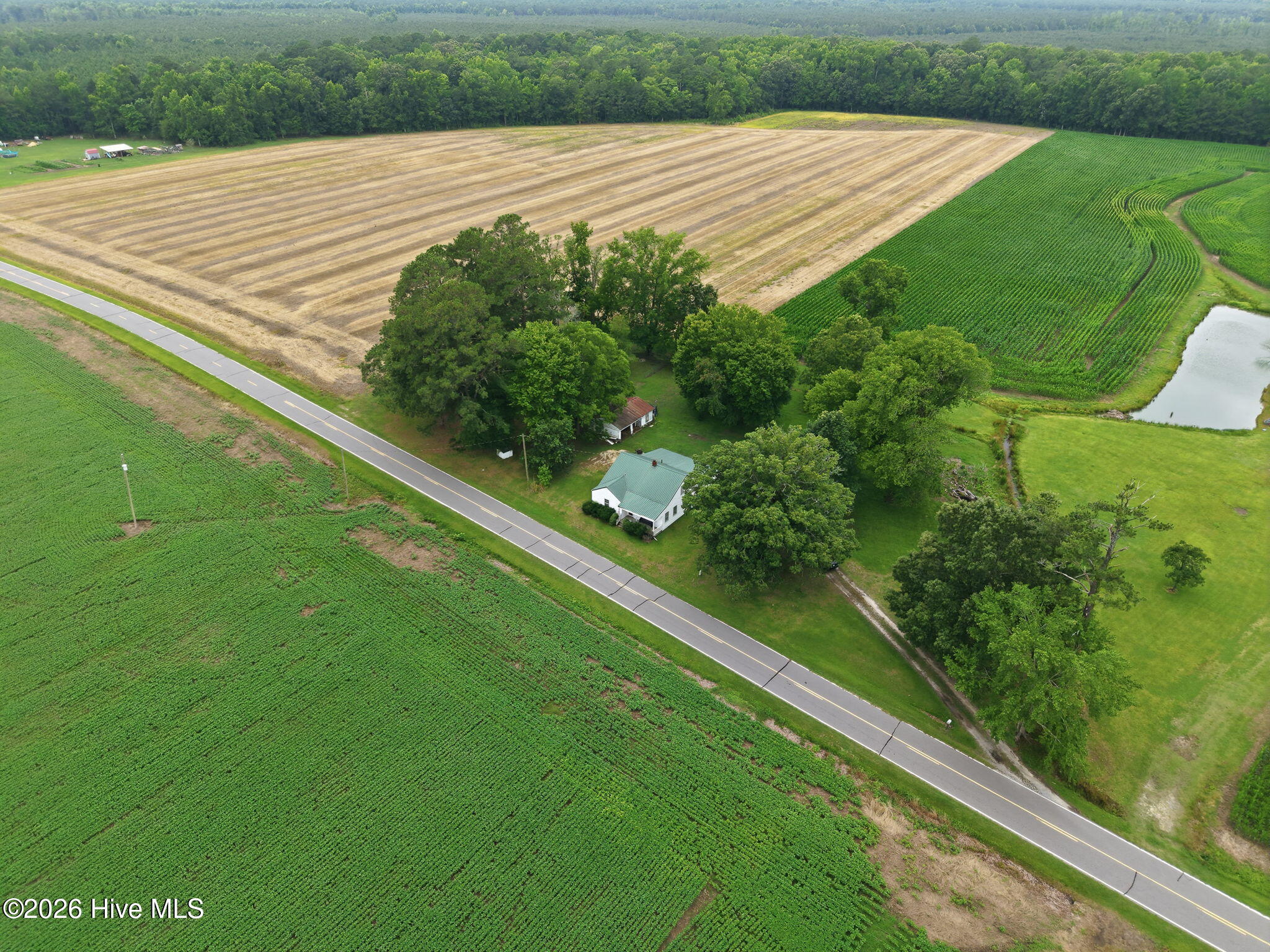 216 Karo White Road Windsor, NC 27983 - Photo 45 of 49