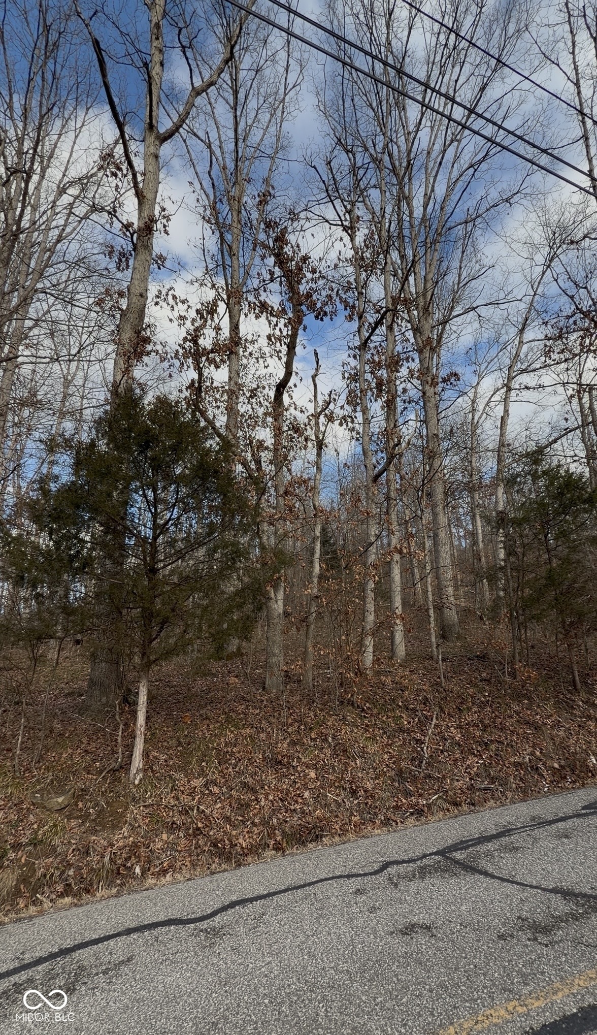 0 West Bellsville Pike Road Nashville, IN 47448 - Photo 6 of 6