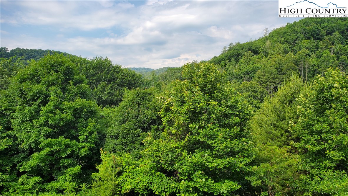 183 Clawson Road Butler, TN 37640 - Photo 12 of 13 a view of a bunch of trees