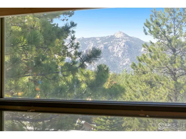 a view of backyard from window