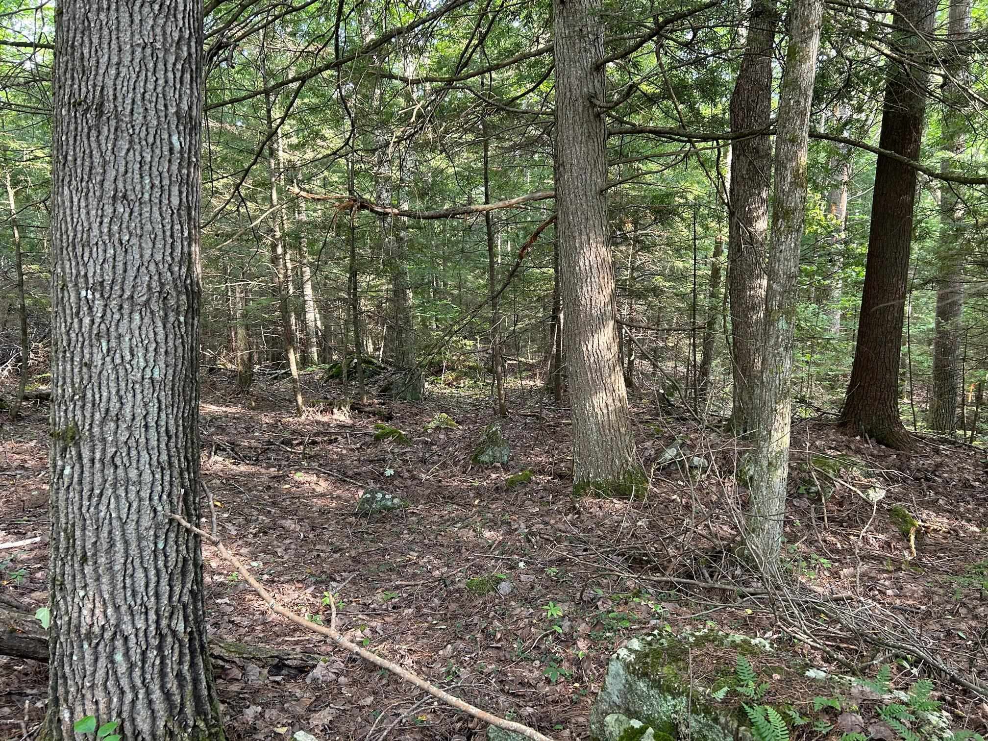 Wildwood Road Woodsville, NH 03785 - Photo 2 of 4 Gallery Image 2