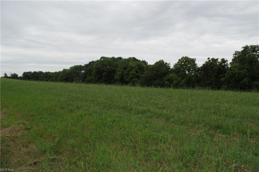273 Bailey Ridge Road Malta, OH 43758 - Photo 13 of 34