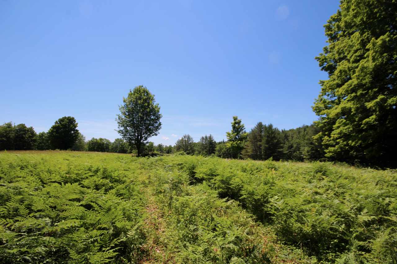 549 Quarry Road Weathersfield, VT 05151 - Photo 24 of 24
