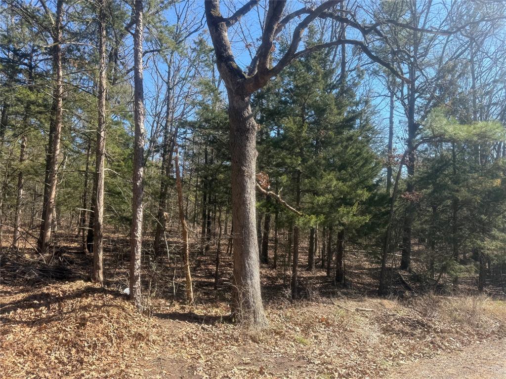 a backyard of a house with lots of trees