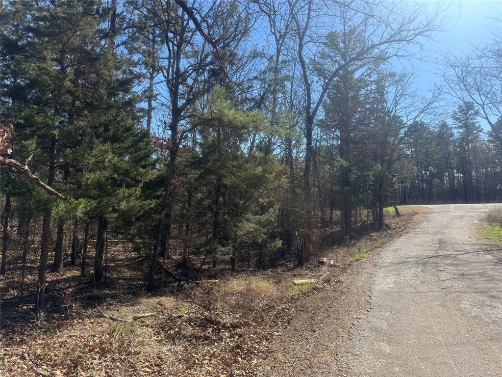 1 Fm-906 Street West Powderly, TX 75473 - Photo 3 of 6 a view of backyard with trees