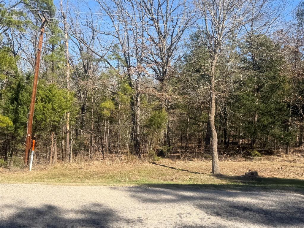 1 Fm-906 Street West Powderly, TX 75473 - Photo 5 of 6 a view of a yard with large trees