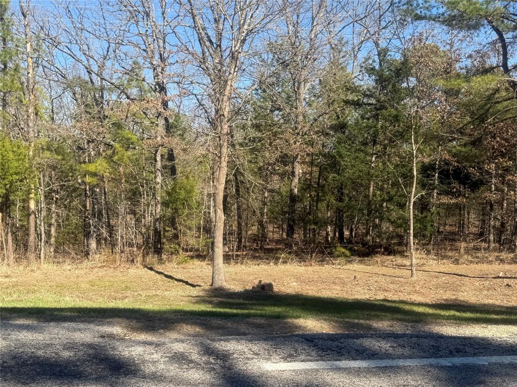 1 Fm-906 Street West Powderly, TX 75473 - Photo 6 of 6 a view of a yard with large trees