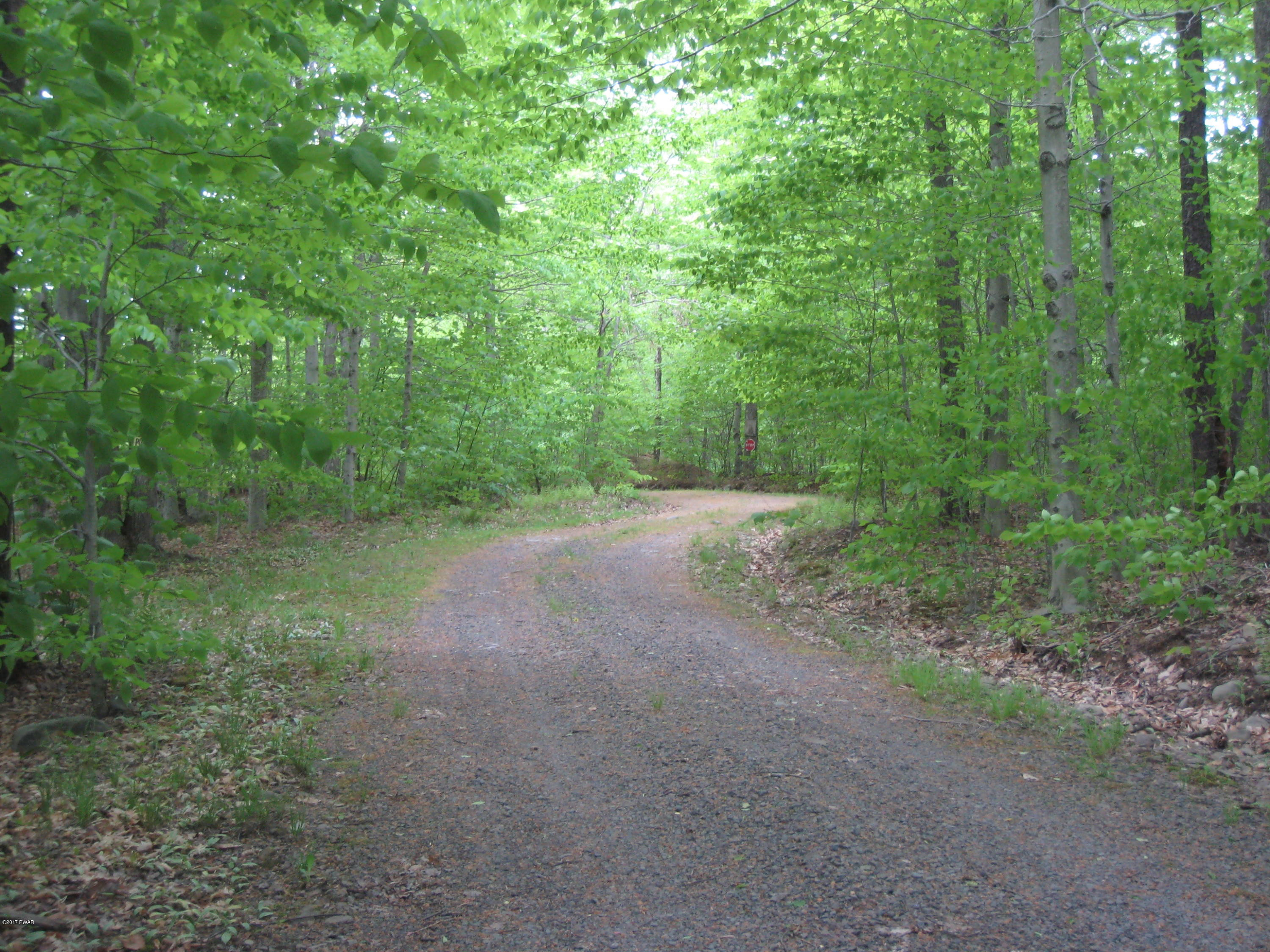 645 Ravnikar Road Forest City, PA 18421 - Photo 13 of 19