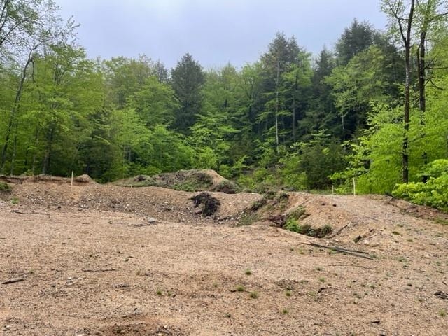 0 Thurston Pond Road, Unit 2 Madison, NH 03849 - Photo 4 of 5