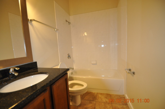 1727 South Indiana Avenue, Unit 26 Chicago, IL 60616 - Photo 8 of 10 a bathroom with a granite countertop sink toilet and shower
