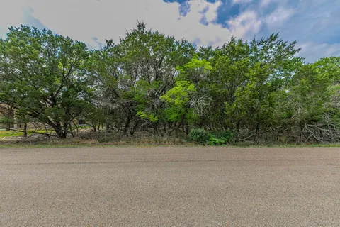 a view of a field with plants and trees