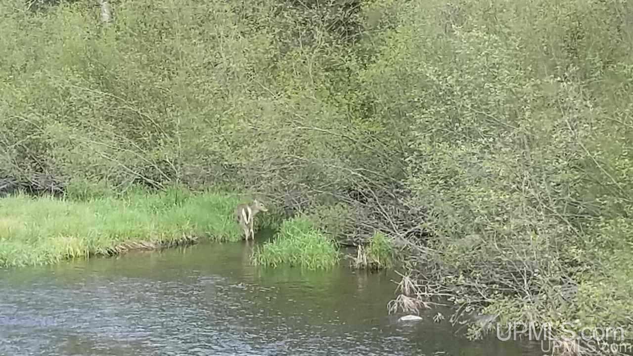 Tbd Fr 3470 Road Iron River, MI 49935 - Photo 22 of 31