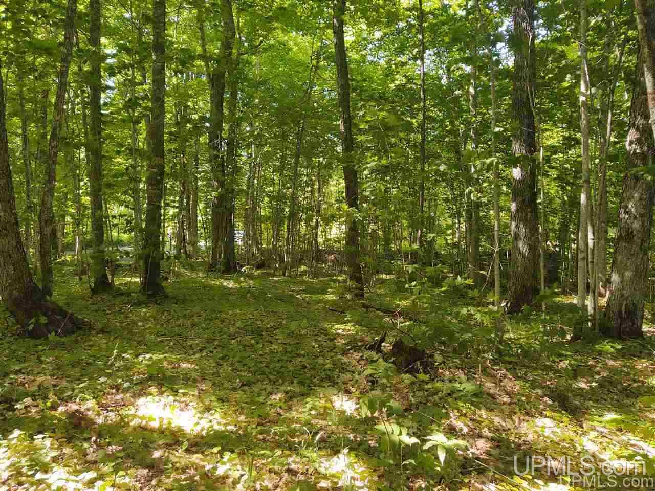 Lot 15 Lake Medora Road, Unit 15 Mohawk, MI 49950 - Photo 15 of 16