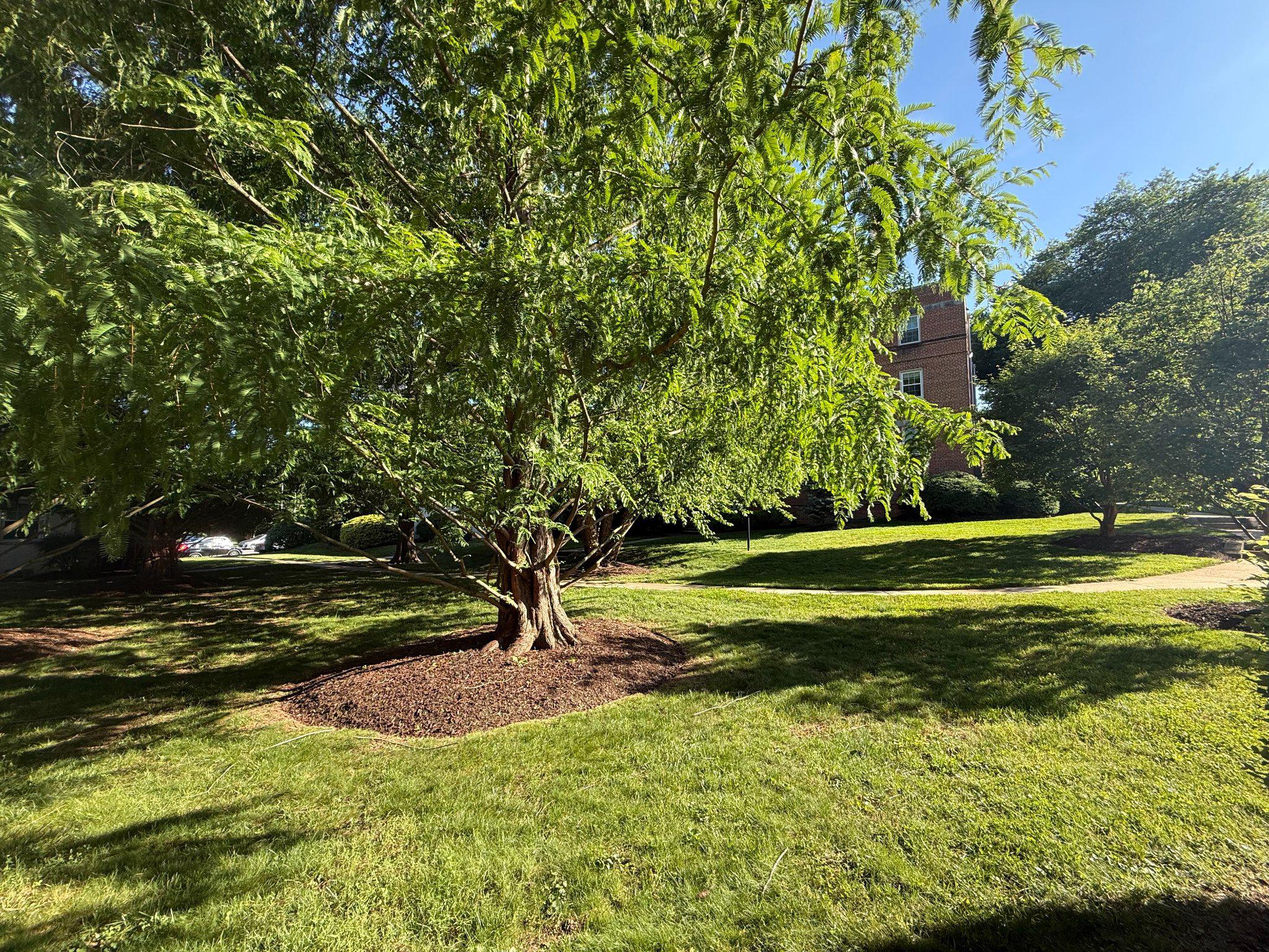 2202 Colston Drive, Unit 102 Silver Spring, MD 20910 - Photo 25 of 38 a view of a park