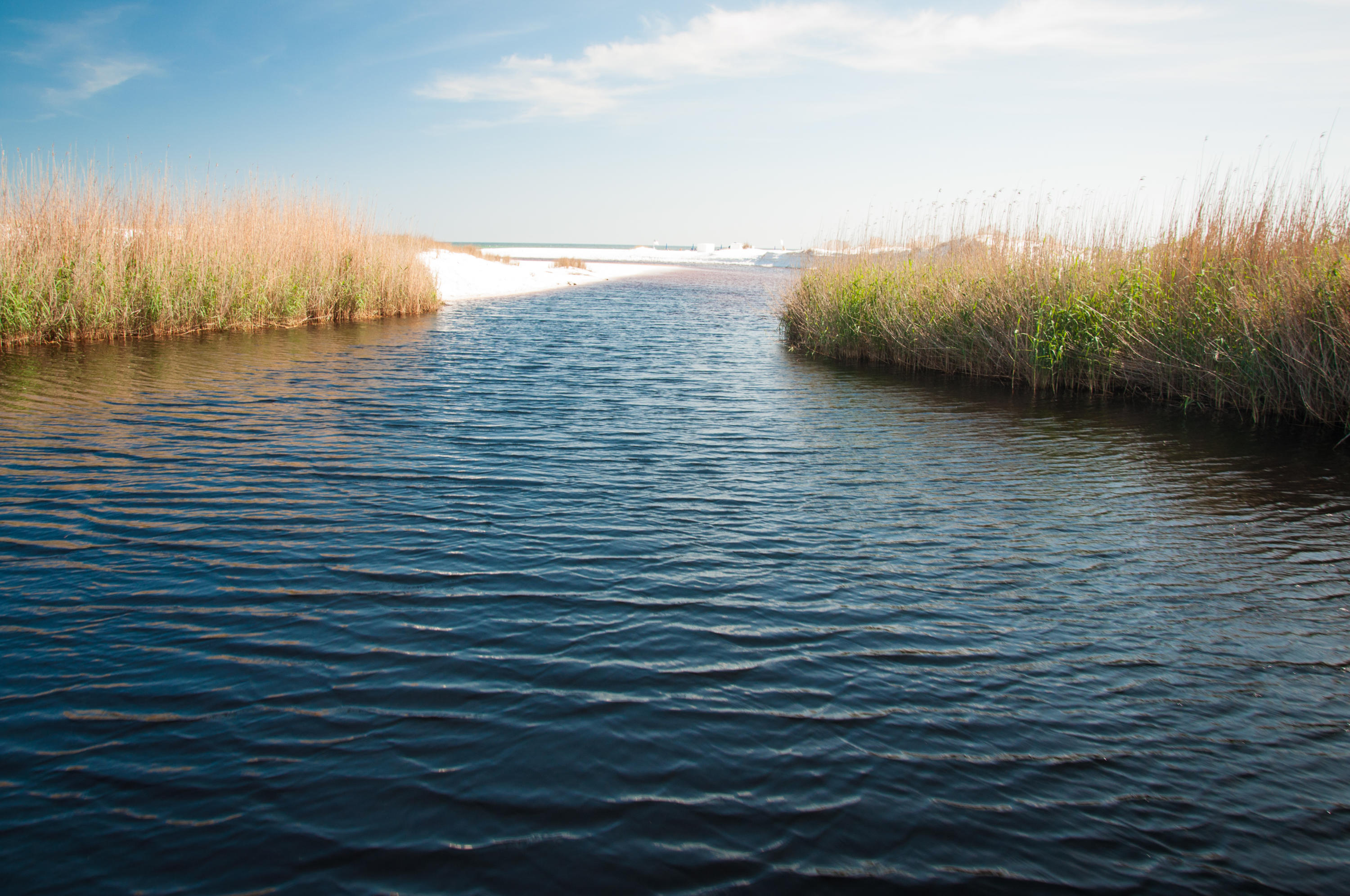 1653 West County Highway 30A, Unit 1116 Santa Rosa Beach, FL 32459 - Photo 41 of 41
