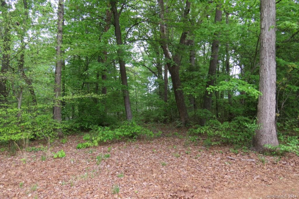 151 Marshall Farm Road Harmony, NC 28634 - Photo 11 of 24 Gallery Image 11