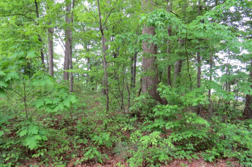 151 Marshall Farm Road Harmony, NC 28634 - Photo 6 of 24 Gallery Image 6