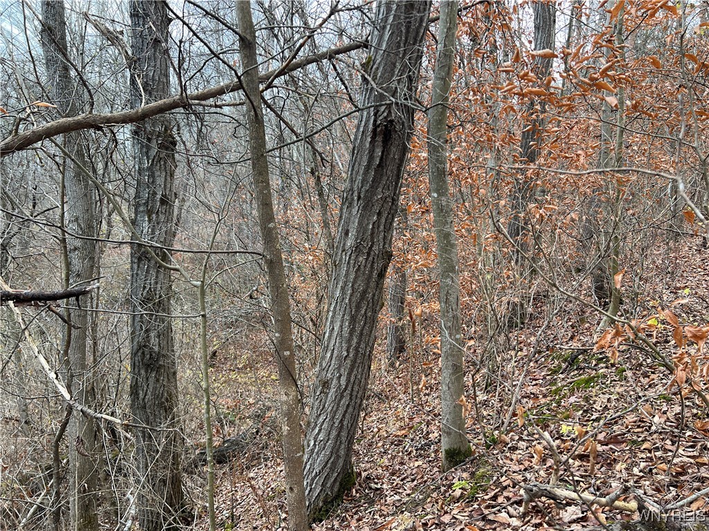 Feathers Creek Road Belmont, NY 14813 - Photo 11 of 21