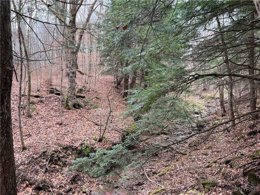 Feathers Creek Road Belmont, NY 14813 - Photo 12 of 21