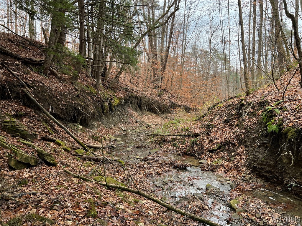 Feathers Creek Road Belmont, NY 14813 - Photo 13 of 21