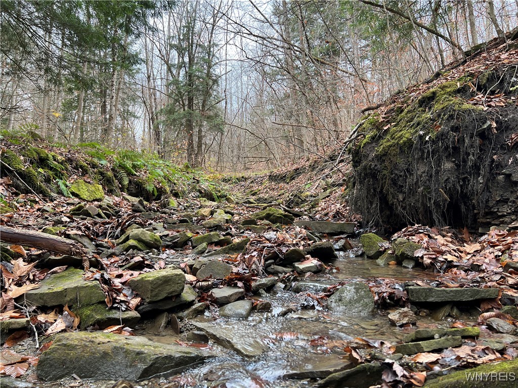 Feathers Creek Road Belmont, NY 14813 - Photo 14 of 21