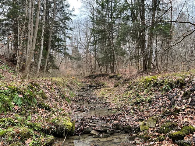 $250,000 | Feathers Creek Road, Belmont, NY 14813