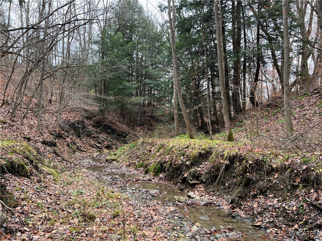 Feathers Creek Road Belmont, NY 14813 - Photo 16 of 21