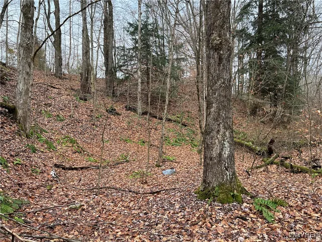 $250,000 | Feathers Creek Road, Belmont, NY 14813