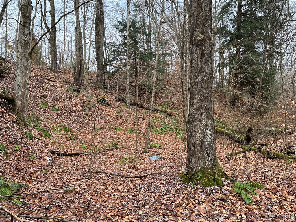 Feathers Creek Road Belmont, NY 14813 - Photo 17 of 21