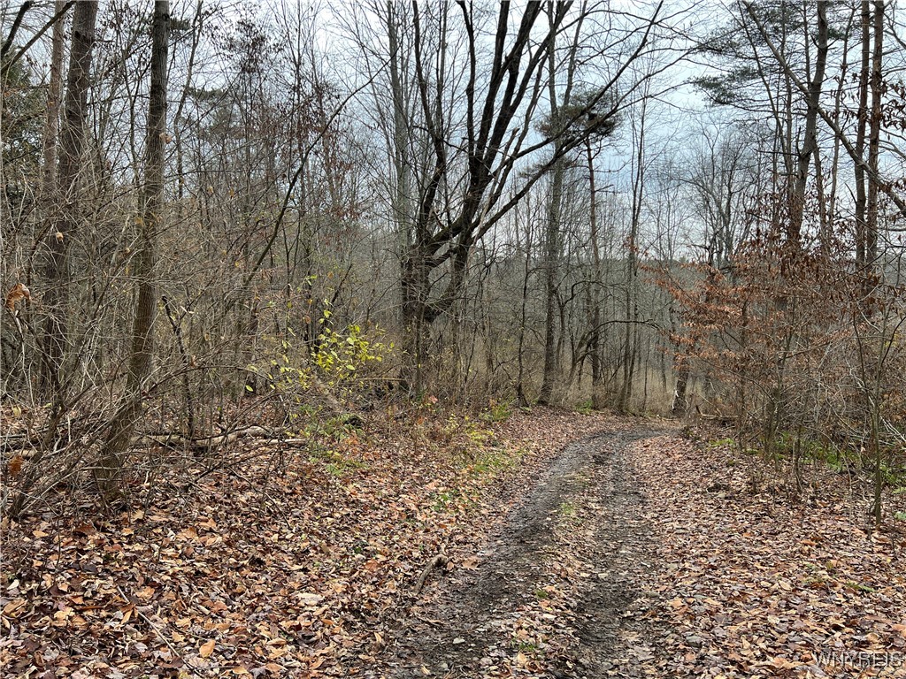 Feathers Creek Road Belmont, NY 14813 - Photo 18 of 21