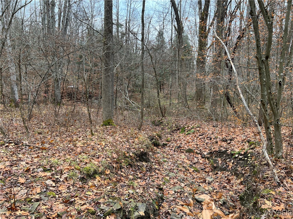 Feathers Creek Road Belmont, NY 14813 - Photo 20 of 21