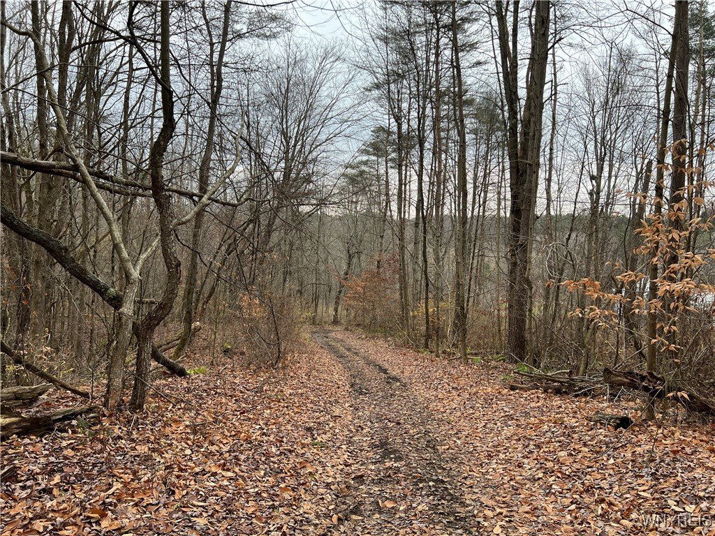 Feathers Creek Road Belmont, NY 14813 - Photo 21 of 21