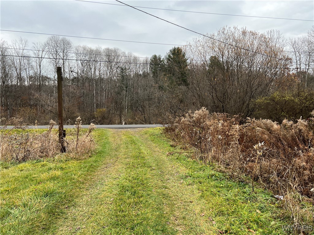 Feathers Creek Road Belmont, NY 14813 - Photo 5 of 21 Driveway entrace