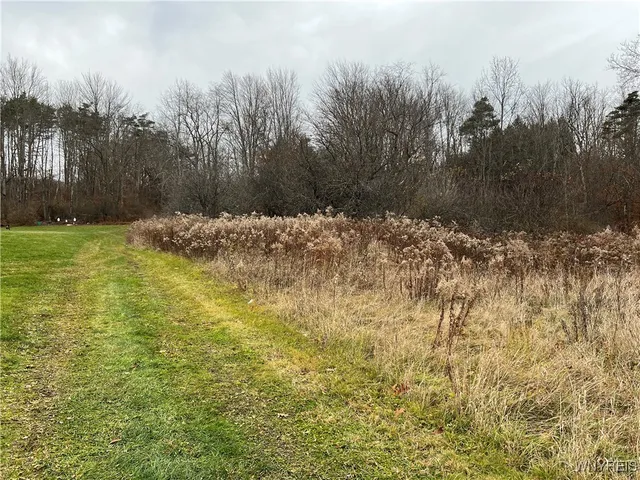 $250,000 | Feathers Creek Road, Belmont, NY 14813