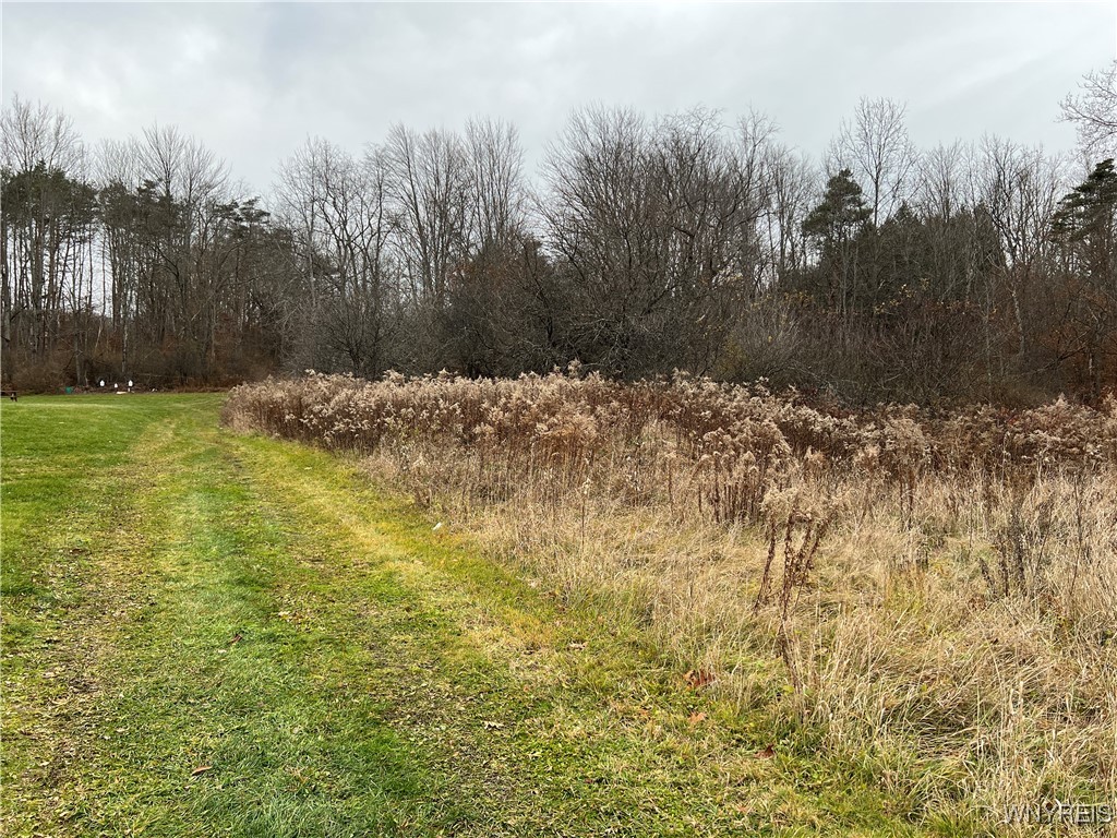 Feathers Creek Road Belmont, NY 14813 - Photo 6 of 21 Shared grass/dirt driveway but owner of adjacent p