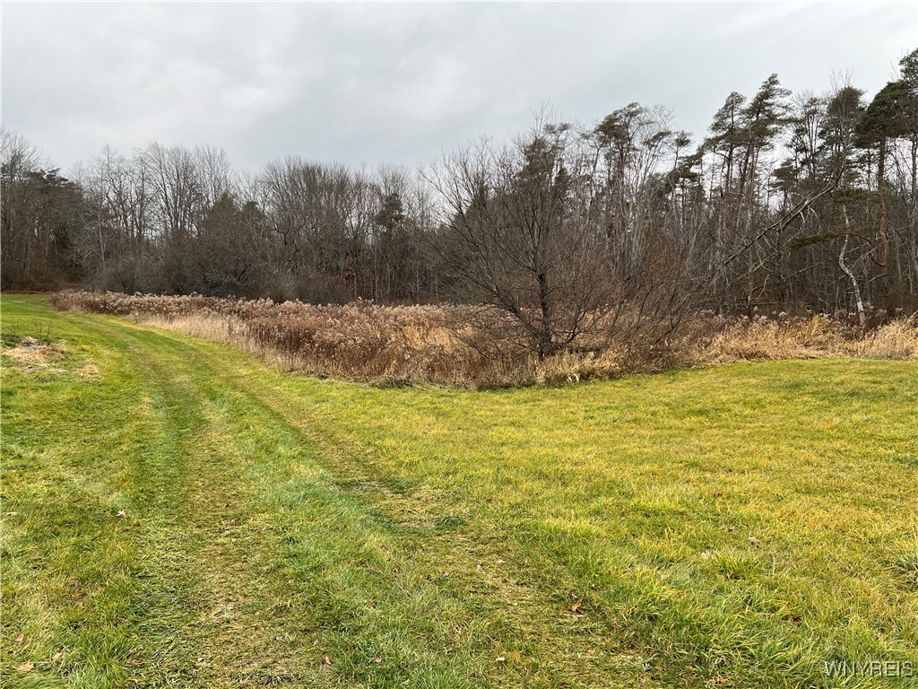 Feathers Creek Road Belmont, NY 14813 - Photo 7 of 21