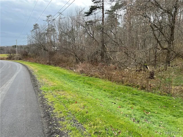 $250,000 | Feathers Creek Road, Belmont, NY 14813