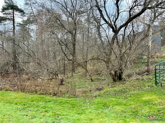 $250,000 | Feathers Creek Road, Belmont, NY 14813