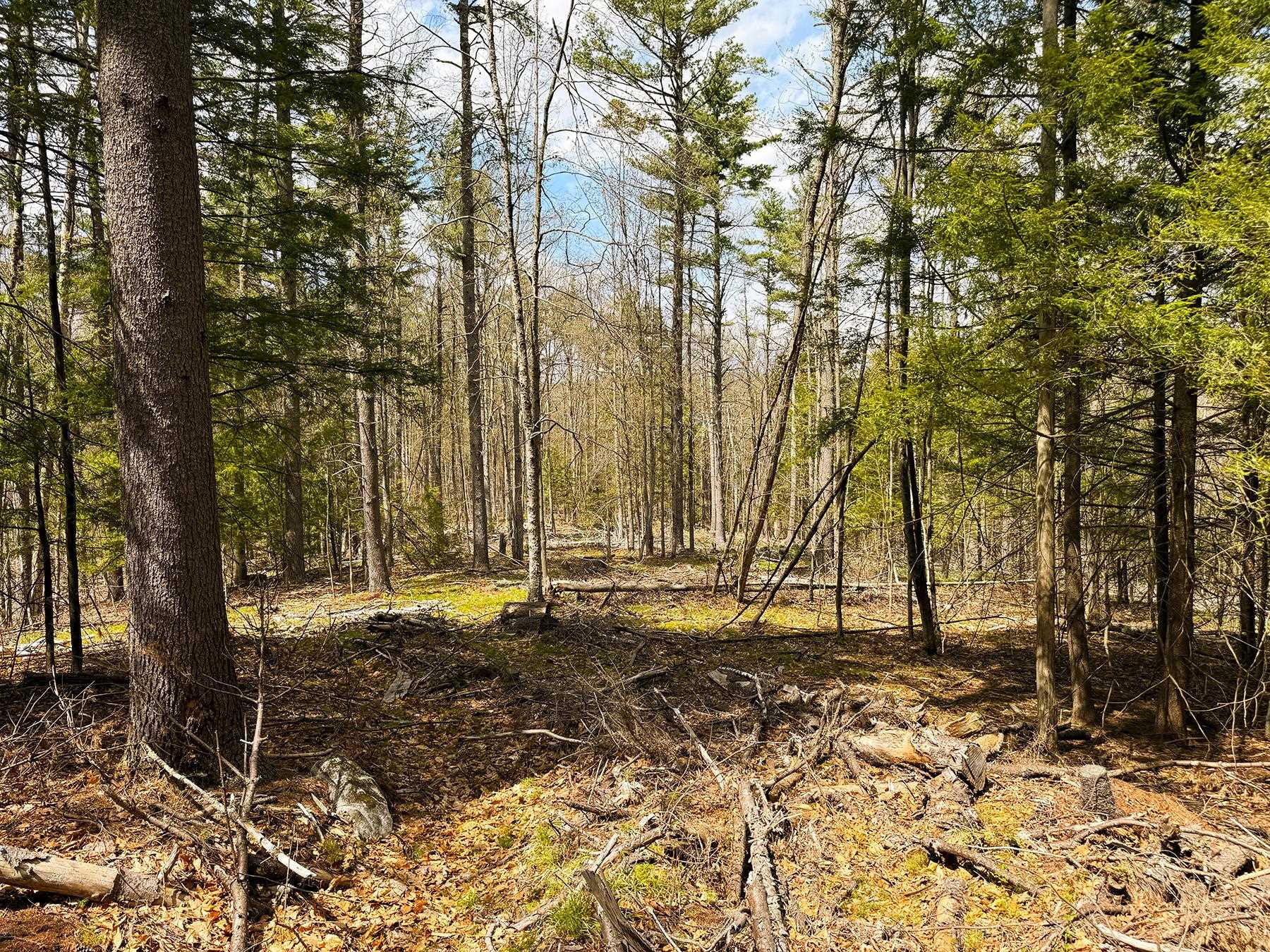 413-l 99 King Road Alexandria, NH 03222 - Photo 22 of 41