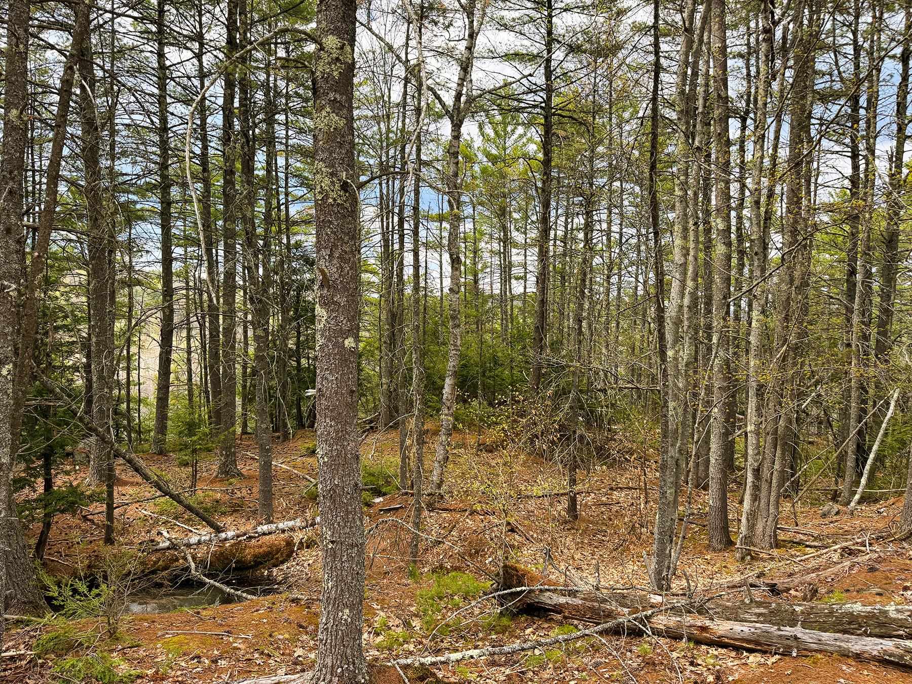 413-l 99 King Road Alexandria, NH 03222 - Photo 27 of 41