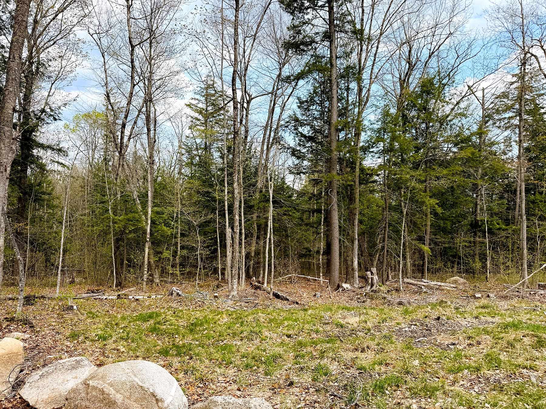 413-l 99 King Road Alexandria, NH 03222 - Photo 35 of 41