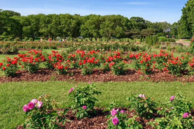 $599,900 | 4536 Grand Avenue South, Minneapolis, MN 55419