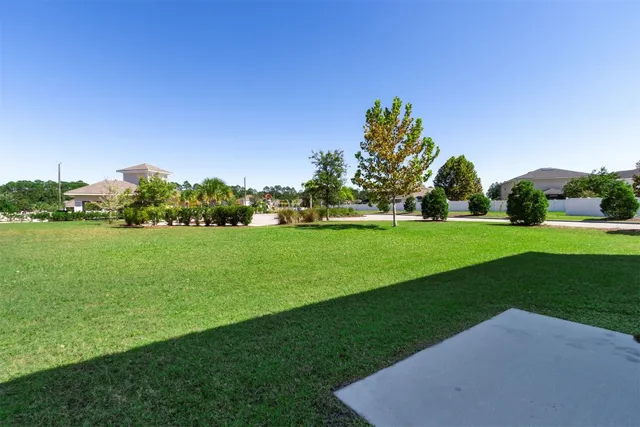 a view of a garden with a tree