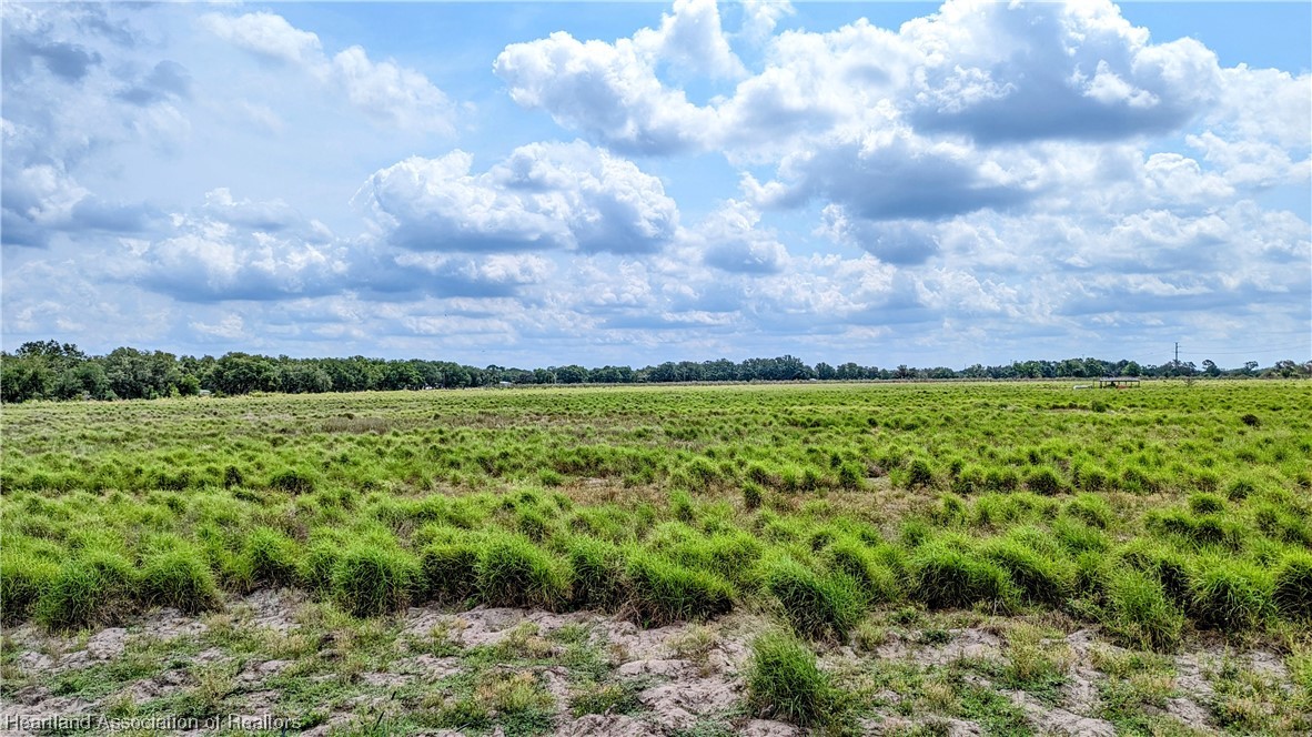 County Line Road Ona, FL 33865 - Photo 3 of 15 Gallery Image 3