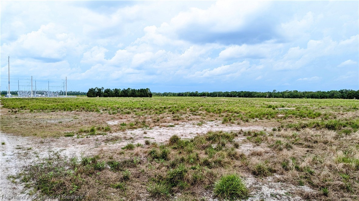 County Line Road Ona, FL 33865 - Photo 4 of 15 Gallery Image 4