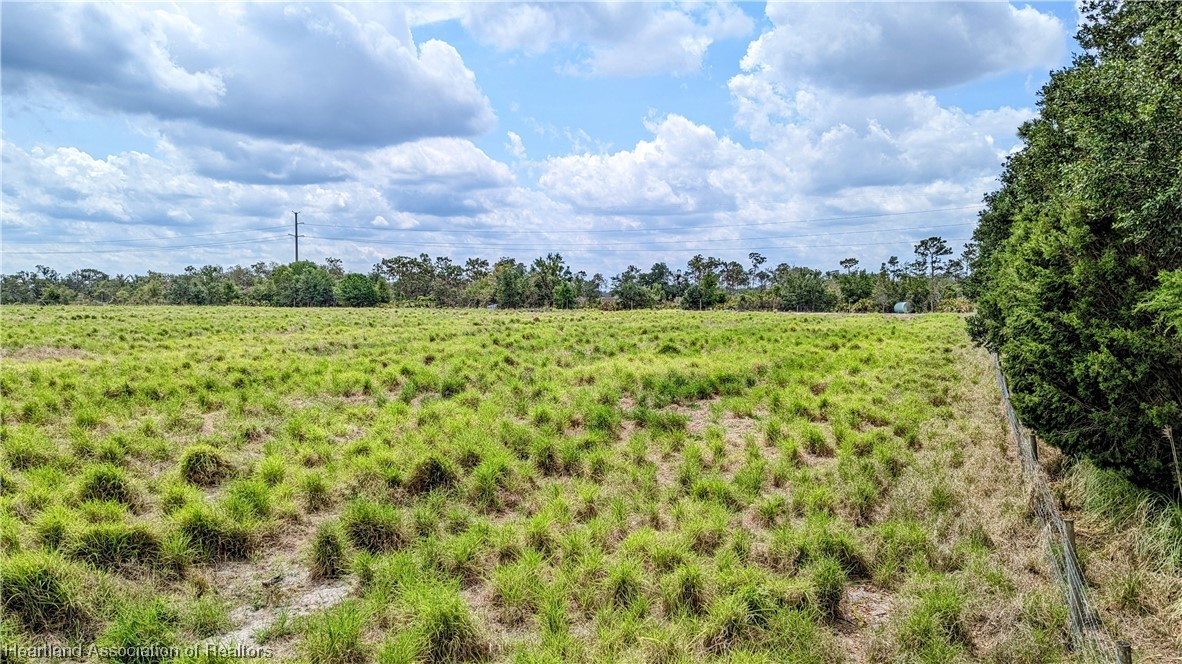 County Line Road Ona, FL 33865 - Photo 5 of 15 Gallery Image 5