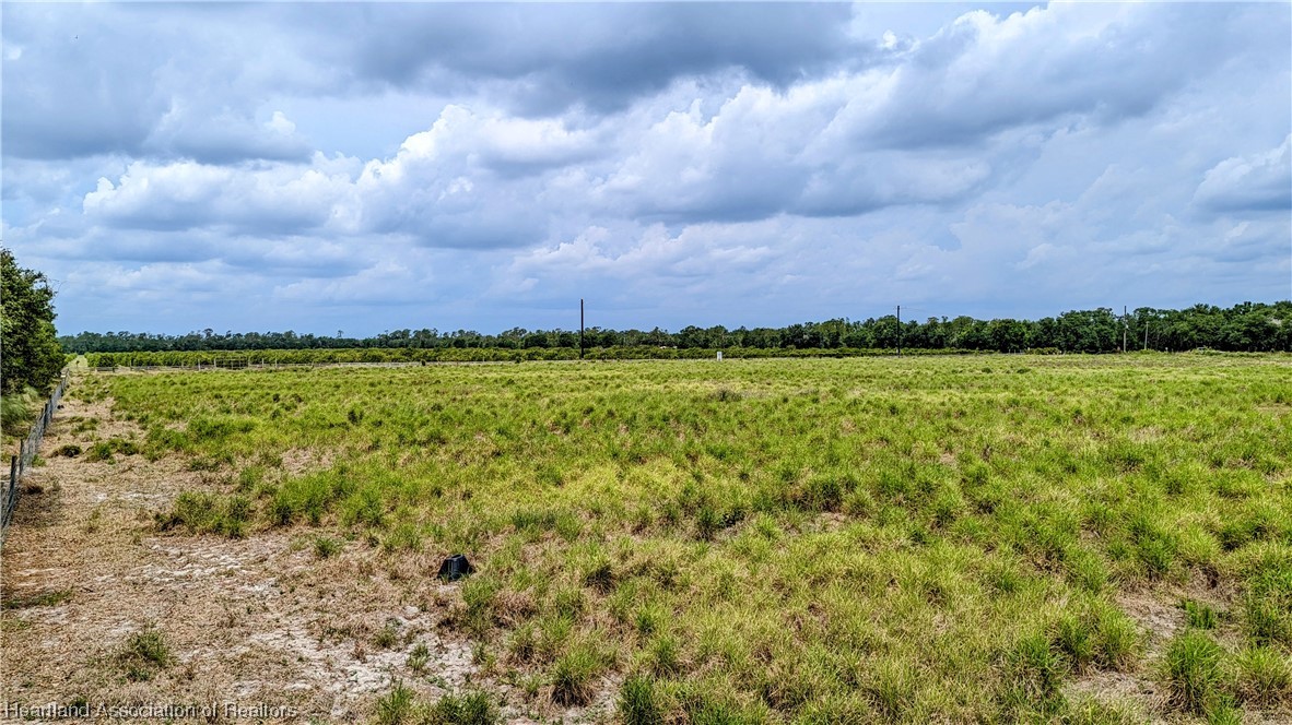 County Line Road Ona, FL 33865 - Photo 7 of 15 Gallery Image 7
